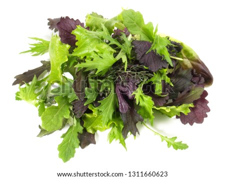 Fresh Mixed Salad Leaves