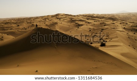 man stands on a dune in the desert