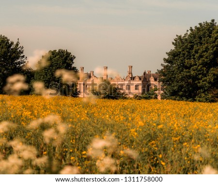 Old abandoned manor house in rapeseed field