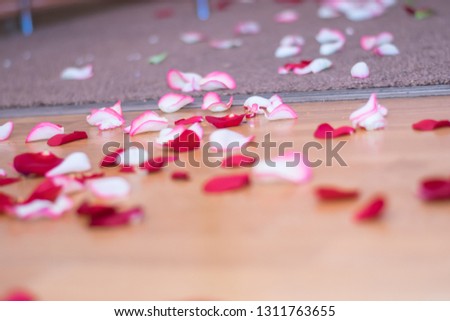 Roses and rose petals during a celebration