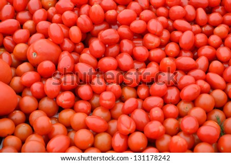 Fresh pomodori Italian tomatoes background
