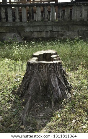 log tree cut off 