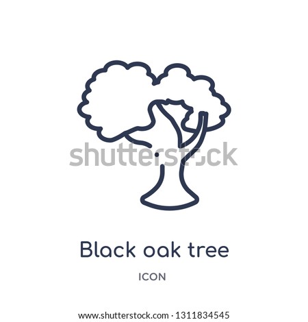black oak tree icon from nature outline collection. Thin line black oak tree icon isolated on white background.
