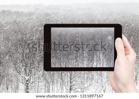 travel concept - tourist photographs of fall of snow over trees in city park winter day on smartphone in Moscow, Russia