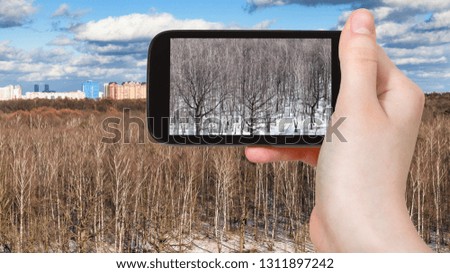 travel concept - tourist photographs of bare birch trees and last melting snow in city park and skyline of Moscow city in sunny spring day on smartphone in Russia