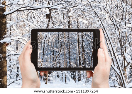 travel concept - tourist photographs of thicket in snowy forest in in sunny winter day on smartphone in Moscow, Russia
