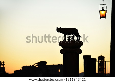 Silhouette of a she-wolf who nurtured the founders of Rome and the Roman roofs and bell towers against the background of the dawn sky. fantastic silhouette picture. Rome.
