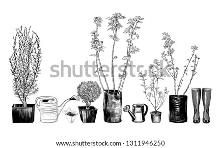 
Vintage collection of shrub seedlings with various accessories.Planting and transplanting plants.
Hand-drawn vector illustration in a sketch style. Isolated design elements. Clipart.
