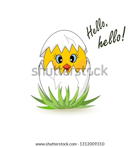 Little chicken hatched from an egg. Hey. Isolated on white background. Easter. Vector