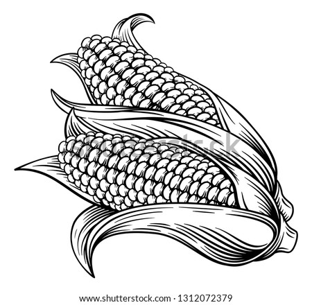 A sweet corn ear maize woodcut print or etching vintage style illustration Royalty-Free Stock Photo #1312072379
