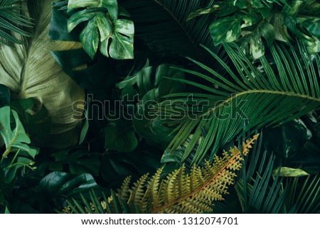 Creative layout made of tropical leaves. Flat lay. Nature concep