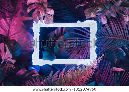 Creative fluorescent color layout made of tropical leaves with neon light vintage frame. Flat lay. Nature concept.