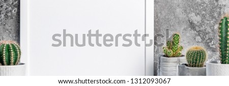 Empty white frame on a gray stone wall background. Mockup. Cactuses in concrete pots as interior decoration. Panoramic real photo