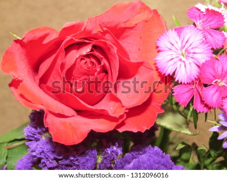 Bright Rose Bouquet