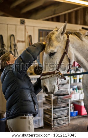 Mid adult woman brushing her horses mane.