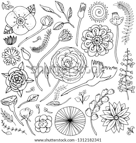 Vector illustration fantasy flower doodles set black and white. Plants isolated on white background leaves and buds