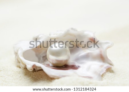 Close up image of organic pearl in a shell Royalty-Free Stock Photo #1312184324