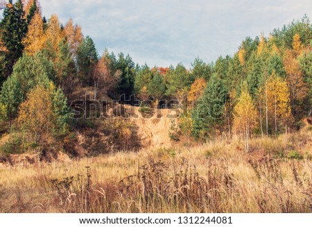 October 2018, Russia, Pereslavl-zalessky, plesheevo lake national Park. Forest landscape. Autumn forest. Autumn colors. 