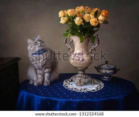 Still life with magnificent bouquet of roses and pretty  gray kitty