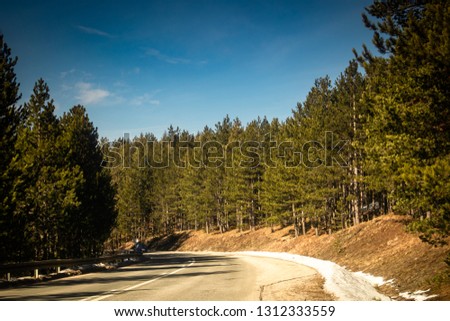 Asphalt mountain road at sunset with beautiful nature, stones and conifers. Mountain Tara in Serbia.