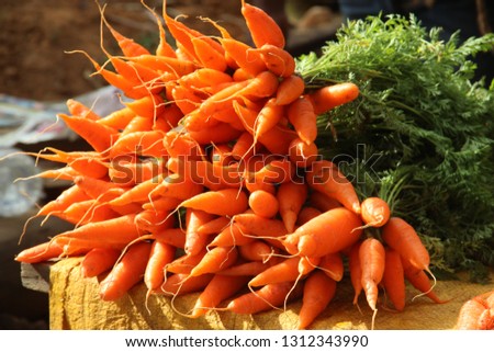 Carrot Stock Photos Royalty-Free Stock Photo #1312343990