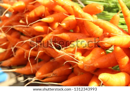 Carrot Stock Photos Royalty-Free Stock Photo #1312343993