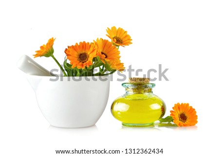 Calendula oil and flowers in mortar isolated on white