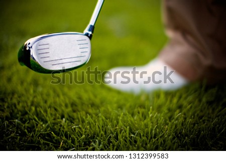 Head of a golf club above a golfing green.