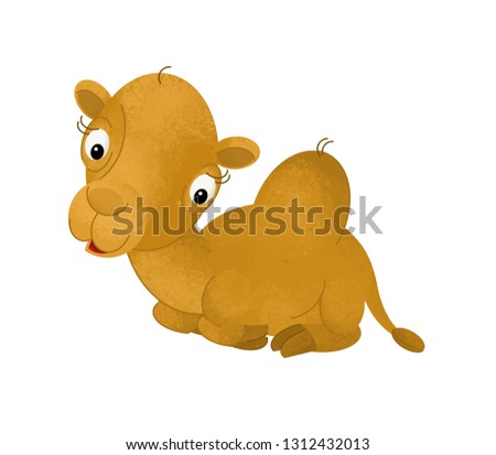 cartoon scene with camel on white background - illustration for children