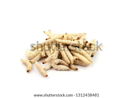Worm bamboo liive in tube isolated on white background from nature forest for food - Insect larva , pupa chrysalis 