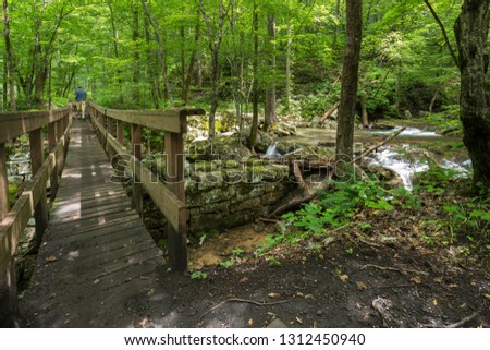 Wooden bridge across a creek on a nature trail