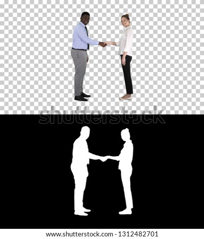 Handshake of business woman and business man posing for the picture, Alpha Channel