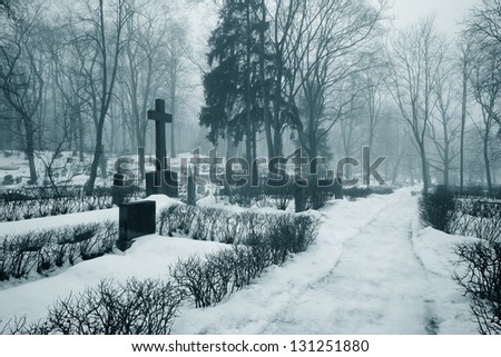 fog at the cemetery