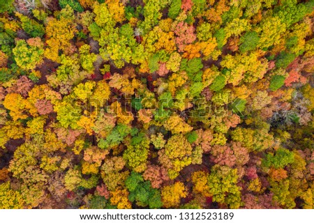 Aerial of fall foliage