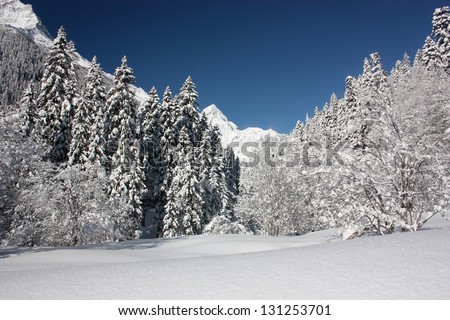 A frosty and sunny day is in mountains. Ski slopes