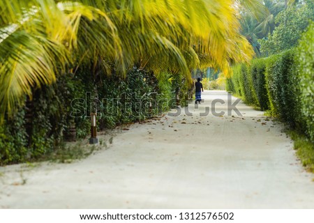 Alley on a tropical island