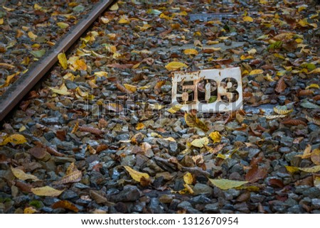 Close up railway with yellow, brown and red colored leafs
