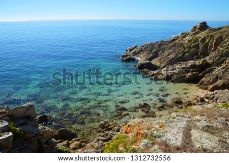 Picture of a cove in the french island of Hoedic in Bretagne (France) during summer.
White sand and turquoise water.
Blue sky and no clouds.
Some rocks and grass.
Wild landscape.