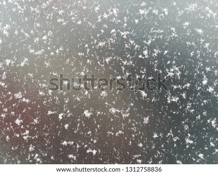 Snowflakes at the mirror like background with colour
