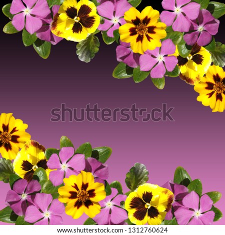 Beautiful floral background of phlox, pansies and marigolds 