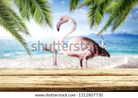 Table background of free space and flamingos on beach. Summer background 