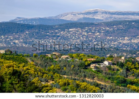 Panoramic view of the Tanneron massif, mimosa trees in bloom, south of France.
