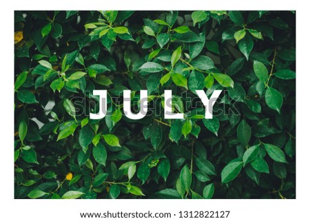 
List of calendar months Designed on a natural green leaf background