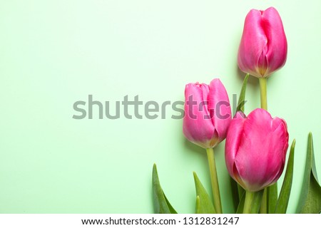 Beautiful bouquet of pink tulips on green background. Concept International Women's Day, March 8. Copy space. Top view.