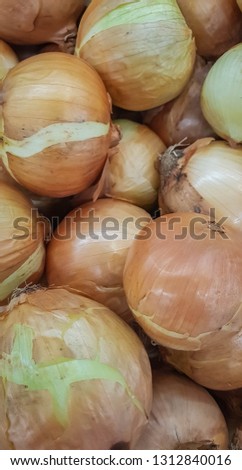 A pile of fresh organic onion in basket. This kind of vegetable is rich in nutrition and healthy. This picture can be used as background or texture. There is copy space to add text for recipe. 