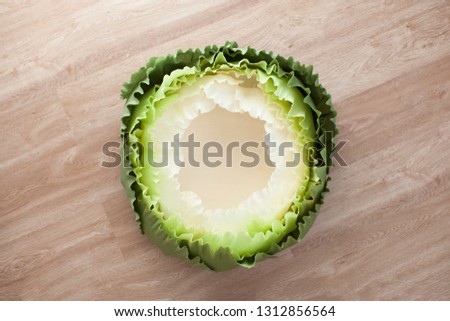 Handmade green paper cabbage for newborn photo. Backdrop template, background. Kraft idea. Paper art and cut.