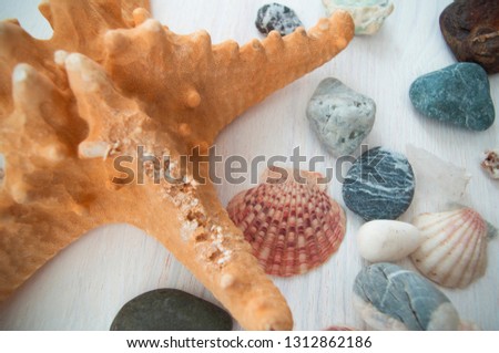Beautiful picture with bright brown starfish and several colorful stones and shells. Close-up. Top view. Nice collection.