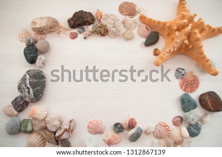 Nice decorative frame with a lot of shells, colorful stones and a brown starfish. Bright picture. Close-up. The top view. Natural background.