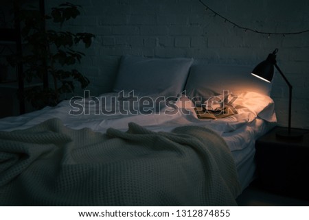 Interior of bedroom with book and glasses on empty bed, plant and lamp on black nightstand at night Royalty-Free Stock Photo #1312874855