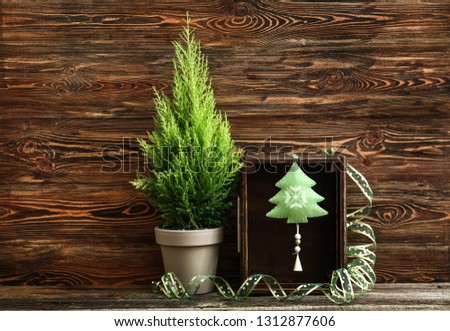 Lemon cypress tree plant and decor on wooden background